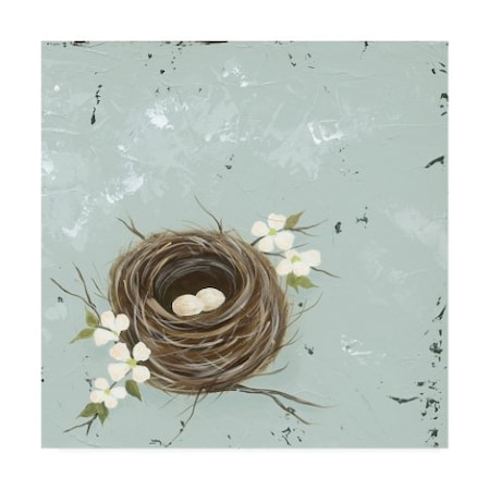 Jade Reynolds 'Flower Nest Ii' Canvas Art,35x35